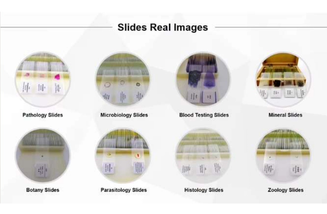 silde real images